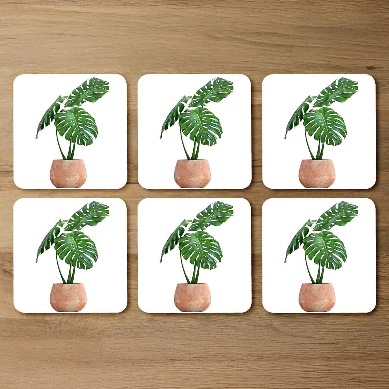 Image of Monstera Coaster Set - Green