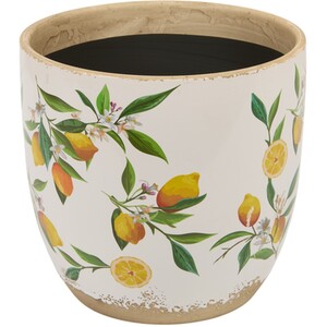 Lemon Egg Plant Pot