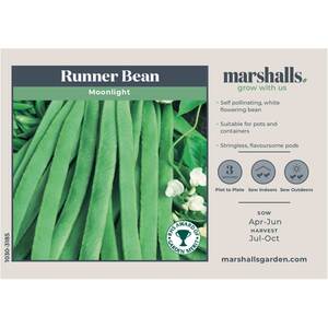 Moonlight Runner Bean Seeds - RHS AGM, 50 Seeds
