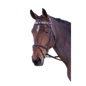 Blenheim Leather Polo Horse Browband