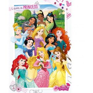 Disney Princess Poster