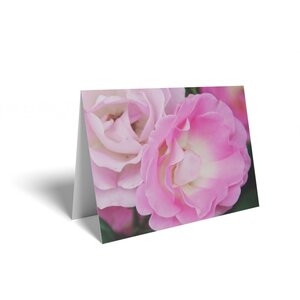 Bright Pink Roses Folded Card with Care Info 125 Pack