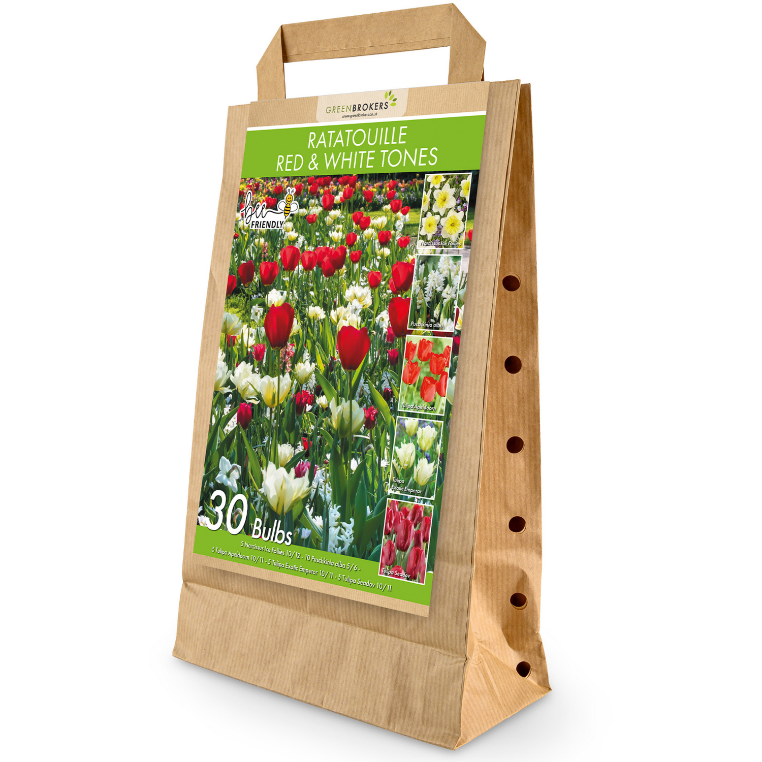 Greenbrokers Ratatouille Red & White Tones Bulb Mix ¿ 30 Dutch Bulbs - Red And White