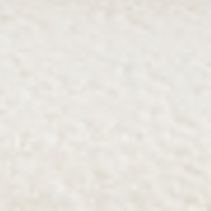  shot 18994274
