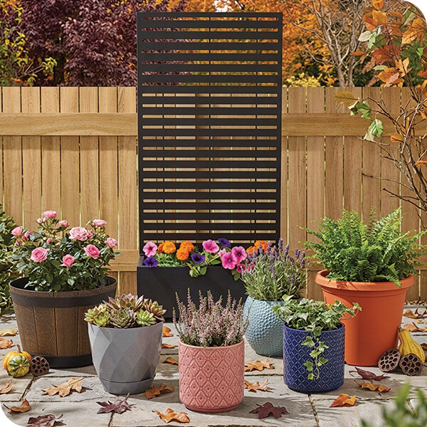 pots planters