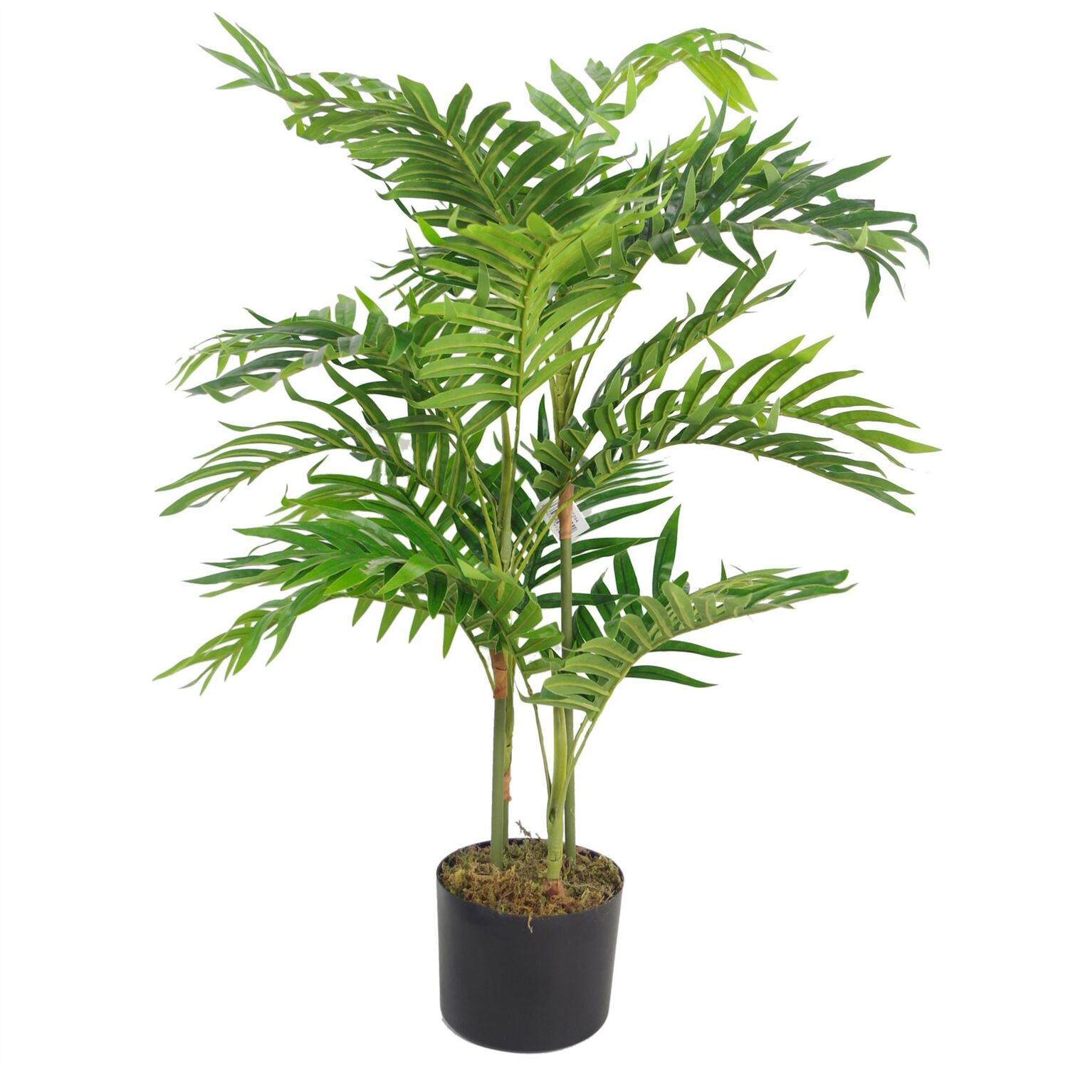 Leaf Unisex Green 80Cm Premium Artificial Mini Palm Tree With Pot In - Image 2