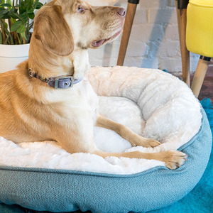 Grey High Sided Deep Filled Donut Bed shot 1681449