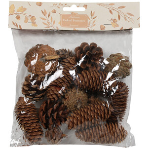 Pack of Assorted Pinecones