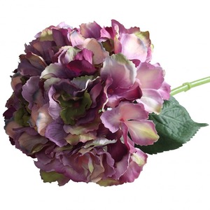  shot 3023388