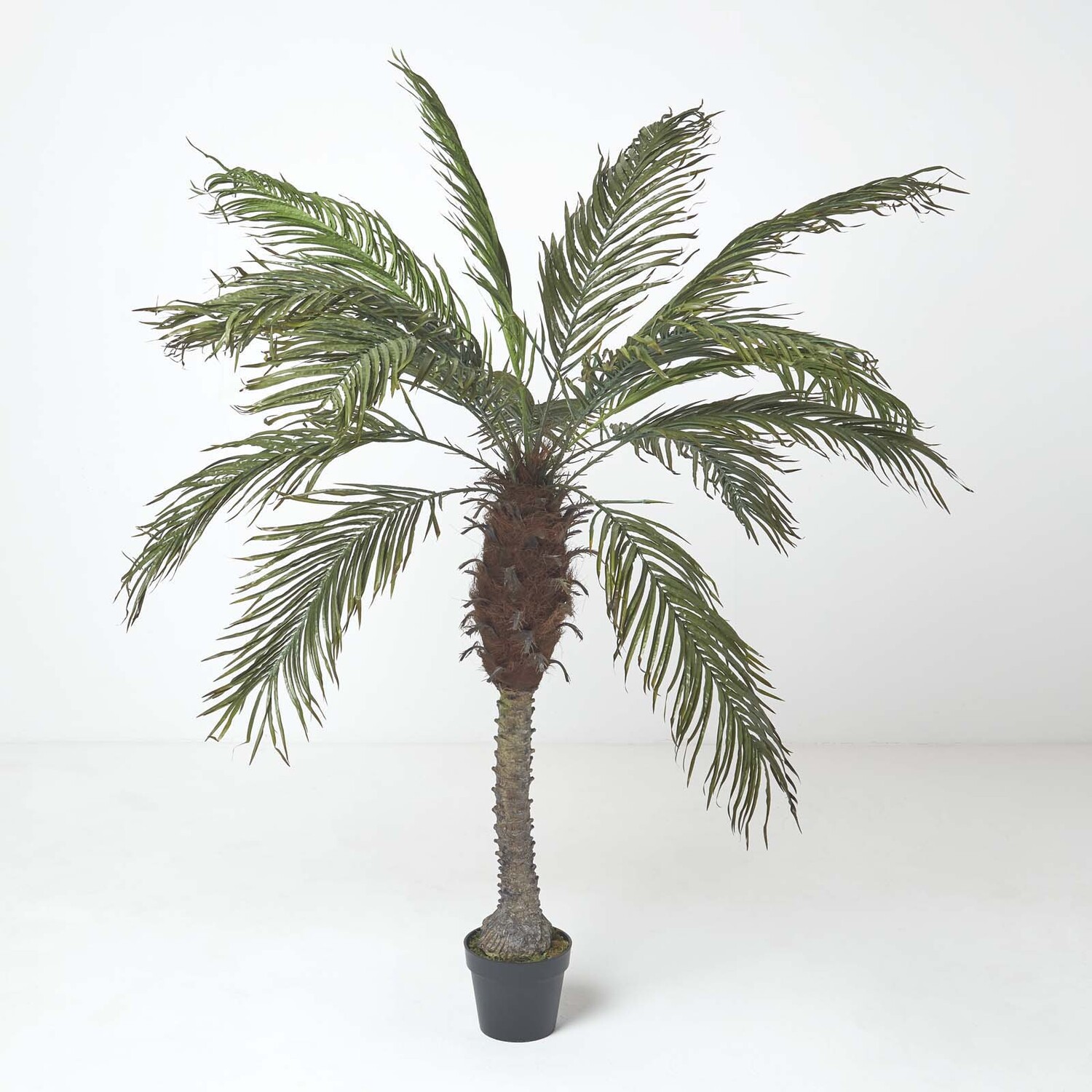 Homescapes Phoenix Palm Tree in Pot, 160 cm Tall - Green