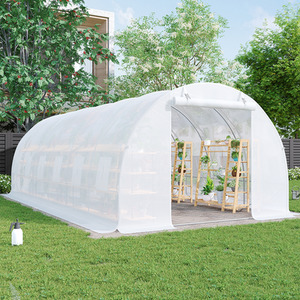 Large Walk-in Steel Frame Greenhouse