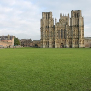  shot 6275560