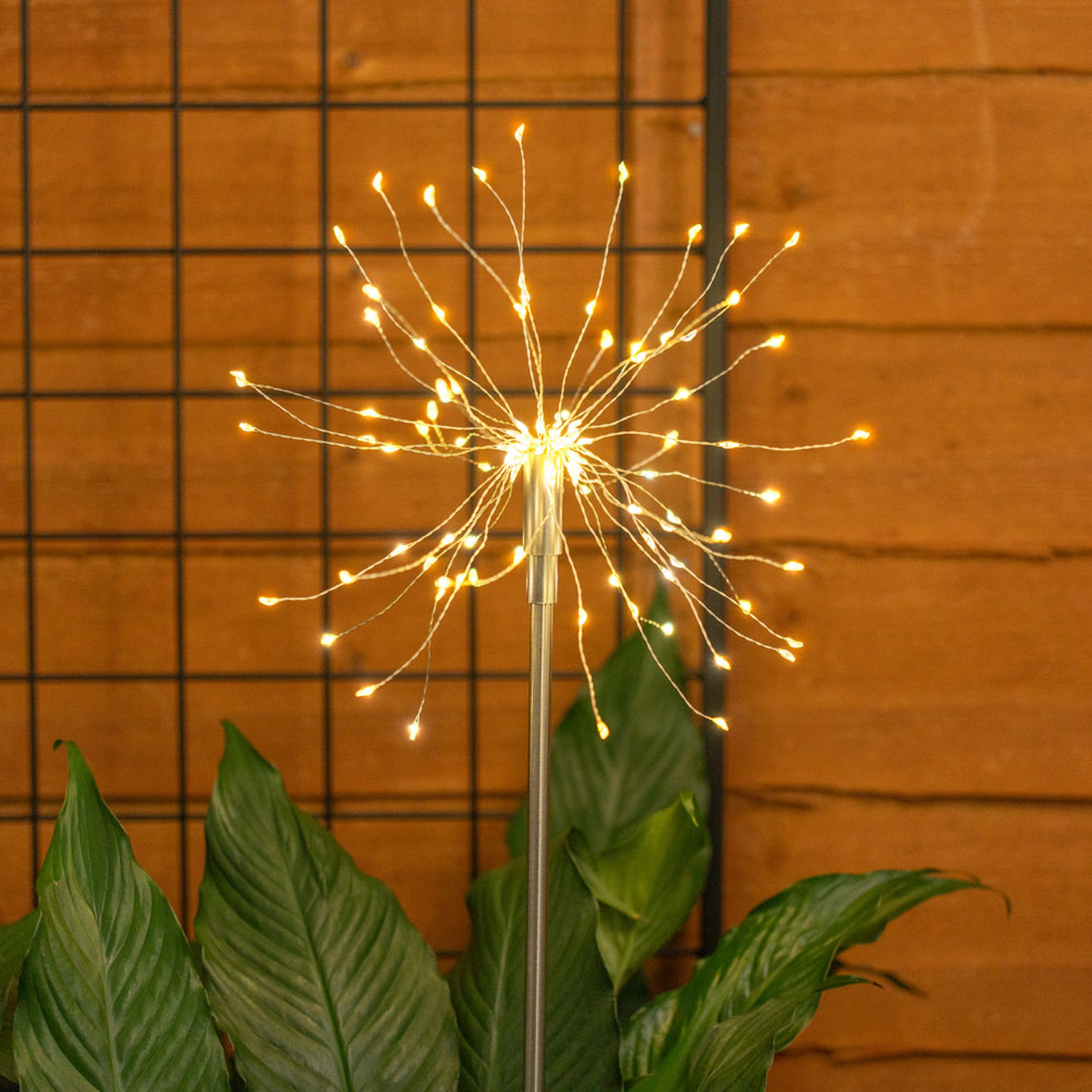 Image of Set of 2 Firework Solar Stake&hellip;