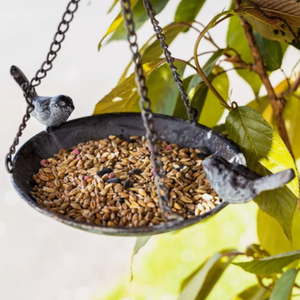 Hanging Steel Bird Bath