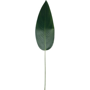 Large Paradise Fern Stem
