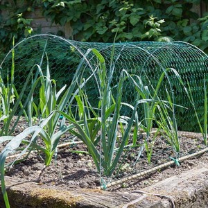 PVC Coated Chicken Wire 1m x 5m