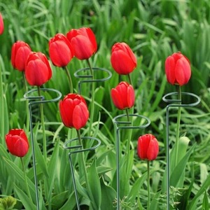 10pc Spiral Plant Support