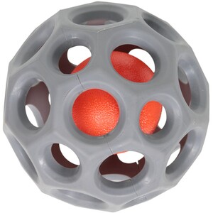 Squeaky Fetch Ball Dog Toy