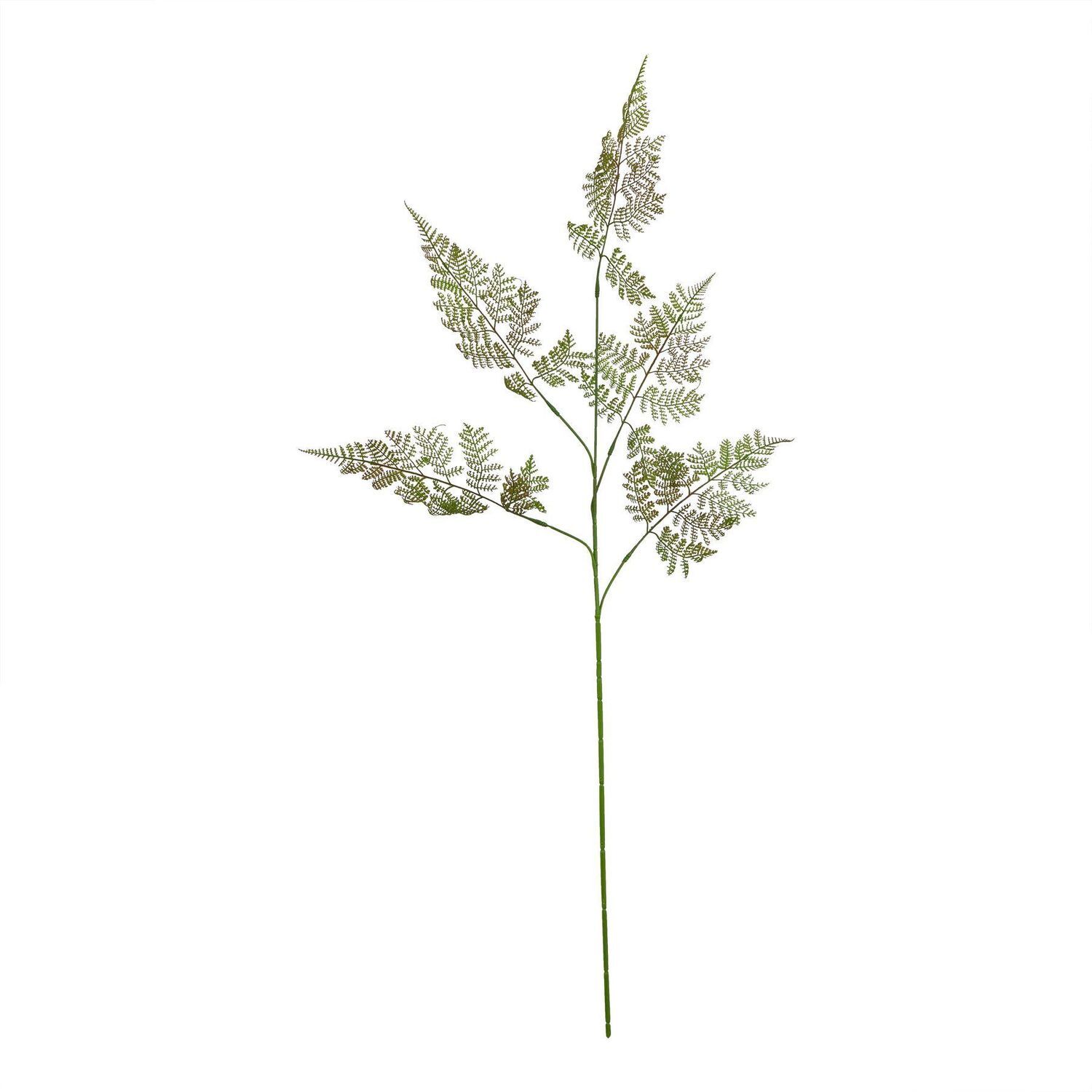 Hill Interiors The Natural Garden Collection Bracken Fern Artificial Flower Spray - Green