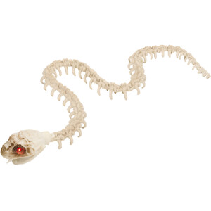 Skeleton Snake Decoration
