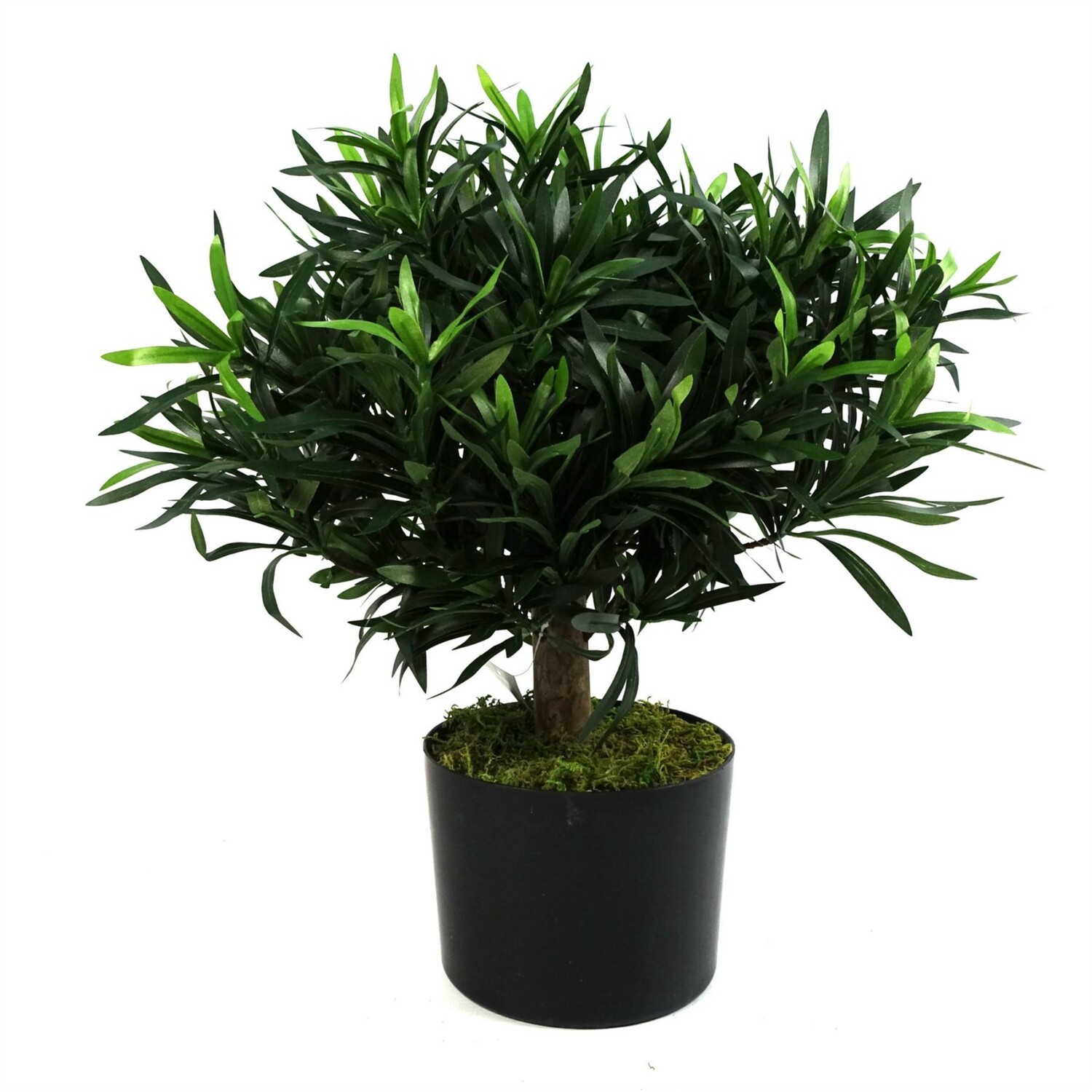 40cm Artificial Podocarpus Bush with Genuine Wood Trunk - Green
