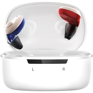 Torch ITC Hearing Aids