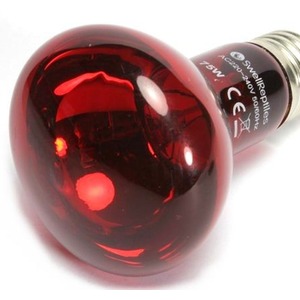  shot 2684463
