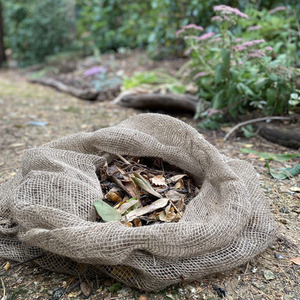  shot 3555297