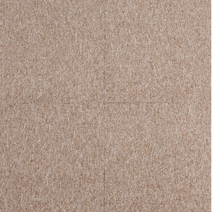  shot 3799041