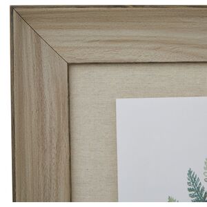 Watercolour Fern Duo In Washed Wood Frame