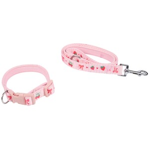 Berry Sweet Lead and Collar Set