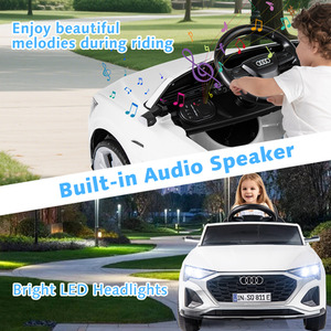 shot 11700309