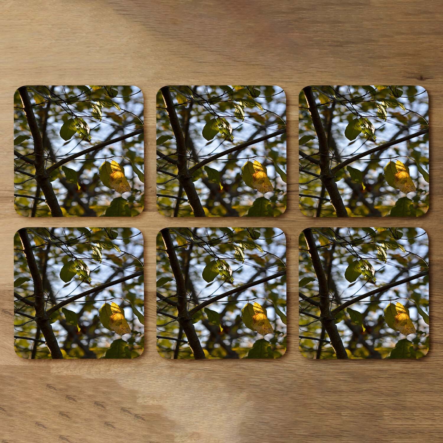 leaves and branches Designer Coaster Set - Green
