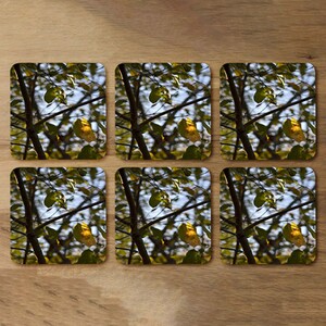 leaves and branches Designer Coaster Set