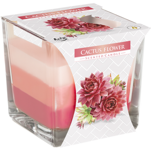 Rainbow Jar Candle Cactus flower