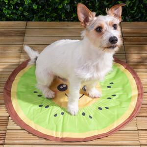 Kiwi Cooling Dog Mat