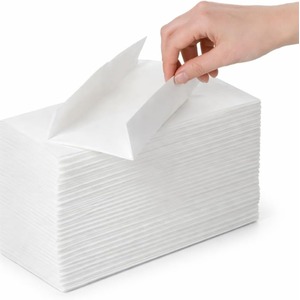 2400 X C-Fold 2 Ply White Paper Hand Towels