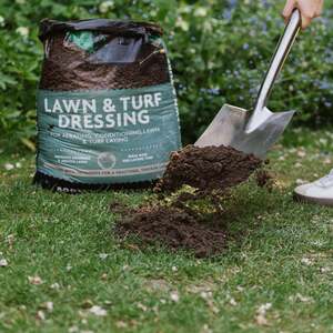 Westland Aftercut All in One Autumn Lawn Feed and Moss Killer - 100 g, Covers up to 350 m²