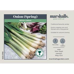 Marshalls Garden White Lisbon Spring Onion Seeds, RHS Award of Garden Merit, 750 seeds