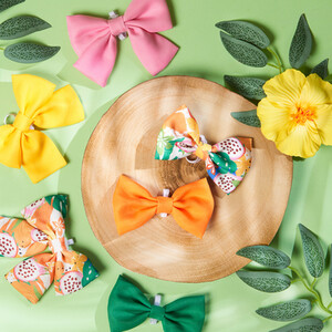 Pack of 3 Jungle Fruits Pet Bows