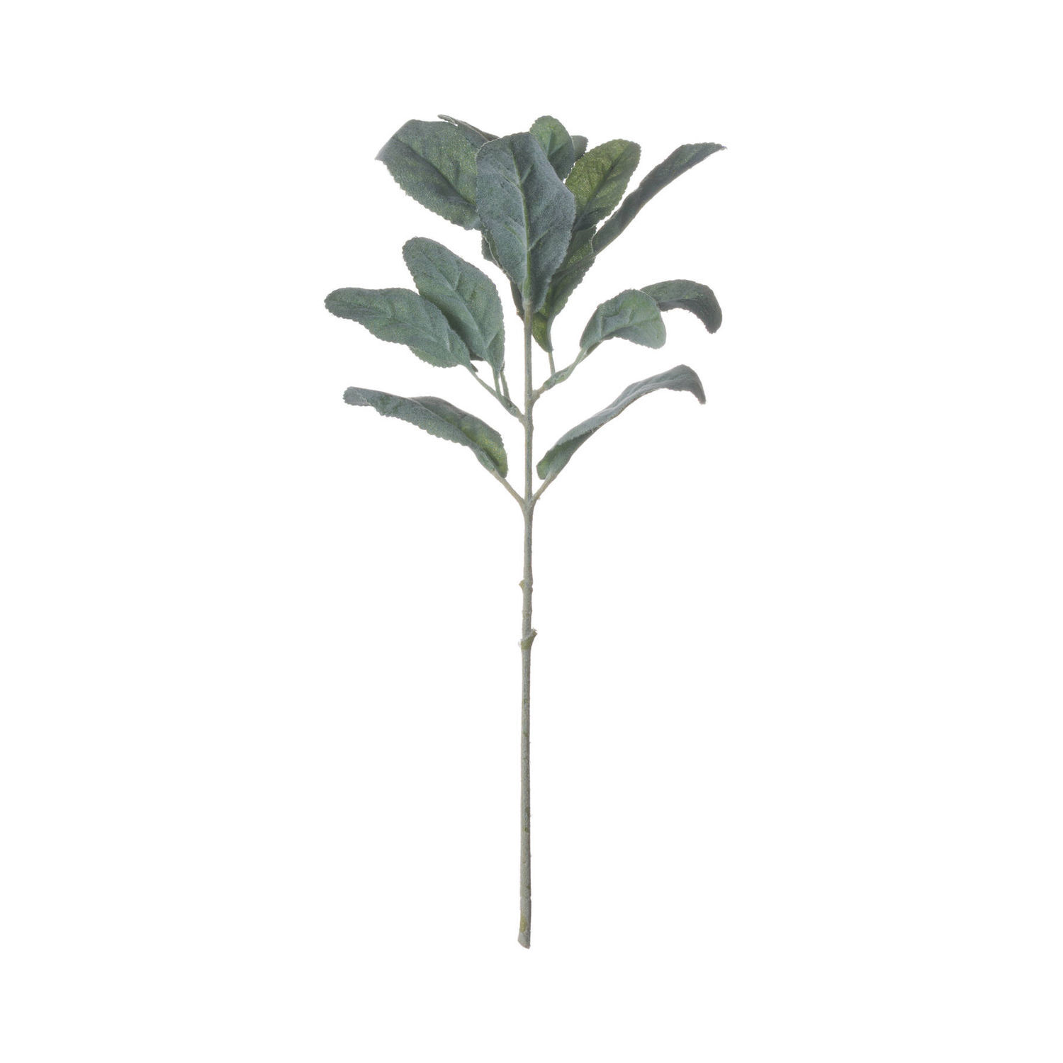 Hill Interiors Artificial Lambs Ear Single Stem - Green