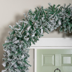  shot 18569504