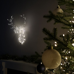  shot 2412305