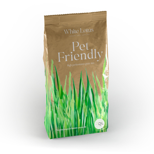 Pet Friendly Grass Seed Resilient High-Yielding Option for Lawns  Pastures 10g
