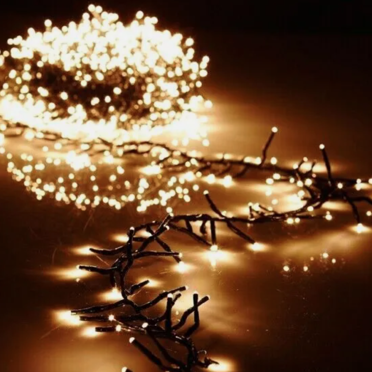Warm White String Lights 200 Or 300 - Black