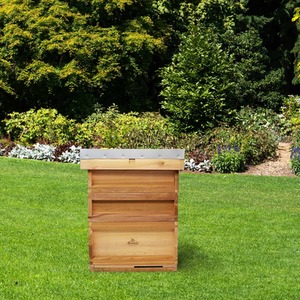 National Bee Hive Cedar Bee Keeping 2 Super 1 Brood