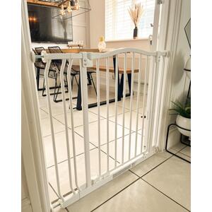  shot 6418090