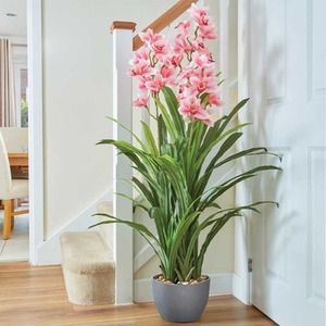 Artificial Orchid Plant