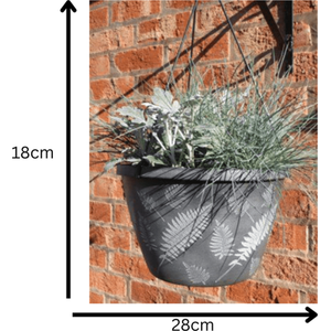 Fern Basket
