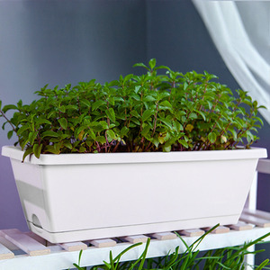 Set of 5 Root Rot Prevention Garden Planters